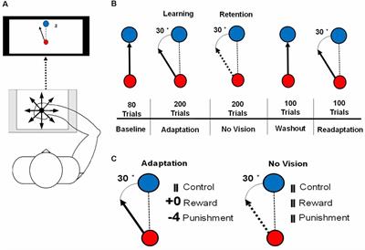 Punishment Feedback Impairs Memory and Changes Cortical Feedback-Related Potentials During Motor Learning